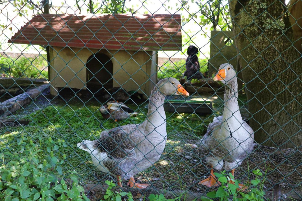 Carregadouro Casa Da Breiaヴィラ エクステリア 写真